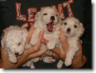 T��khle jsme unaveni