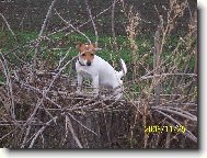 Je tam asi my�i�ka!