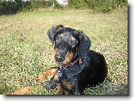 Venku na proch�zce