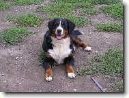 �sm�v pros�m!!!