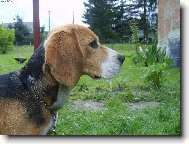 kde je m�j p�n��ek?