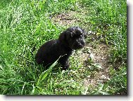 �e jsem kr�sn� ???