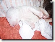 Tak jsem se p�ed chvilkou narodil