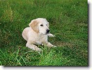 pohodi�ka tu m�m r�d