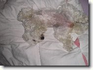 Tak bych se cht�la tak� m�t