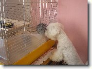 Cht�la bych t� nav�t�vit.Pust� m� d�l?