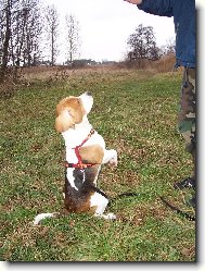 pros�����m