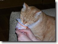 Pochutn�n� na�eho Mat�ska