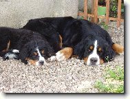 Lusynka s malou Eli�kou