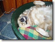 Baru�ka-odpo�inek