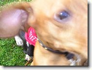 ...co to m� ta pani�ka v ruce?