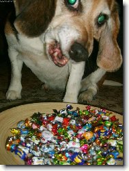 a te� v�s v�echny sn�m...!