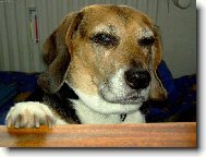 a kdo je tady nejv�t�� dr�a�ka???!