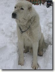 sice d�dula,ale po��d je�t� �vih�k..