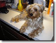 pomocnice p�i va�en�