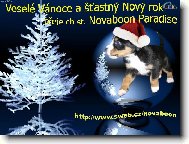 v�no�n� p��n�