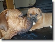 �koda pusinky, kter� padne vedle