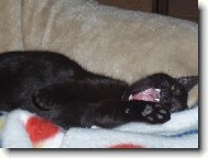 tak to je n� mazel....