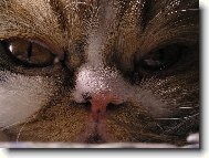 U� m� pros�m nefo�...