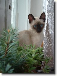 V�no�n� z�ti��...