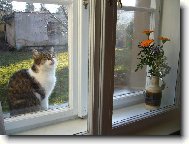 Pus�te m� dom� - V�noce 2006