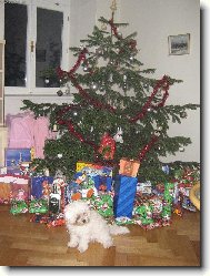 N� nejv�t�� d�re�ek