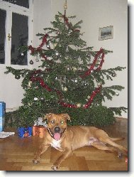 N� Argo�ek je za v�echny d�rky sv�ta