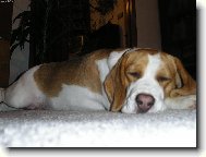 V�no�n� vy�erp�n�