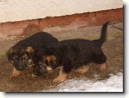 Stejn� budu rychlej��