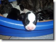 Kdy u� uvid�m na ten sv�t?