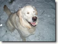 To stud� a j� se fotit nechci.. :)