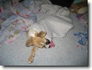 Sp�t se d� opravdu v�ude,i v nohavici.