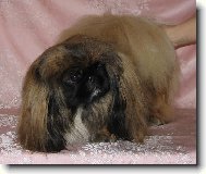 ULLY od Mach��k�