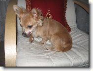 �e by n�co k sn�dku...