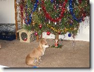 p�inese mi n�co Je��ek?