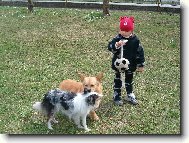 Op�t L�za s Cesarem