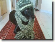 Na�e par�dnice Sany.