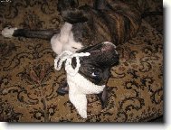 J� m�m �epi�ku