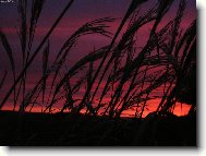 V�chod slunce v Horn�ch Pol�ic�ch