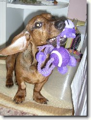 to jsem dostala na V�noce