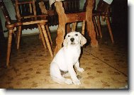 J� to nebyla, opravdu!