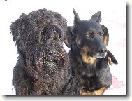 skoro jako svatebn� foto