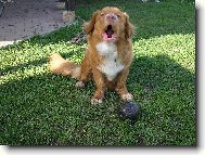 �e j� t� vy�t�k�m