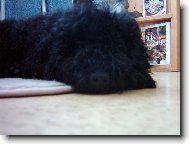 takov� �mouha no to p�eci nejsu j��