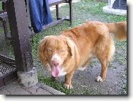 No to teda �um�m!