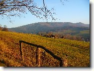 Ve�ern� pastva v podh��� Smrku