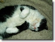 Pohoda, kl�dek ...