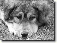 ...p�em��l�m