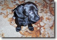 D�te mi n�co dobr�ho