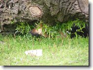 nen� se �eho b�t